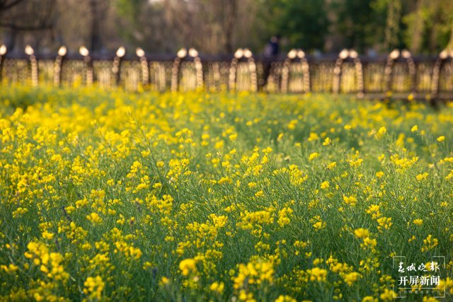 20220217193157F0HTGC