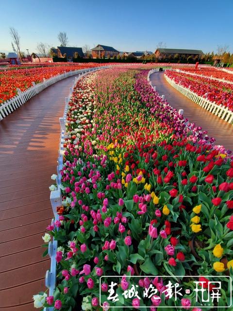 202003021803105GRUSUn