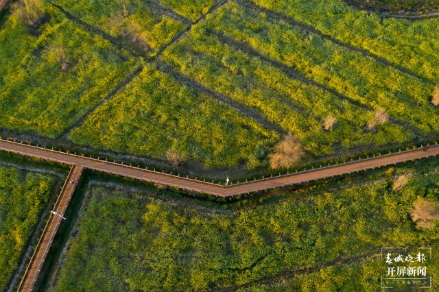 202202171931402R17EJ