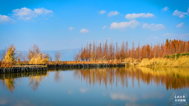 202202281057400D12A0