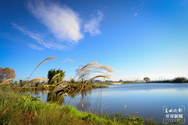 20211108192157433AER (1)