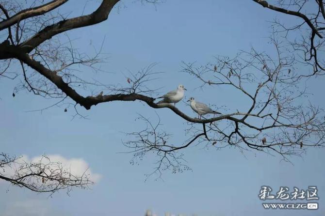 16460225414706140930108531491_197148