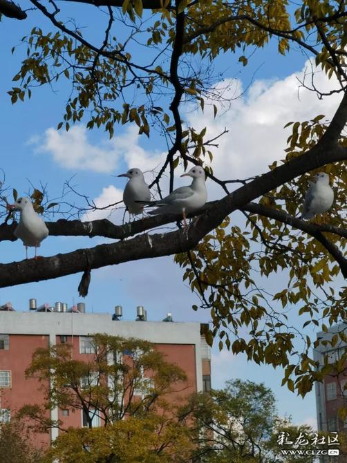 16460225418077221813230572565_197148