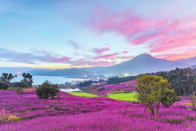 905e9ff0-d253-47a2-a786-75a2dff1e1ab