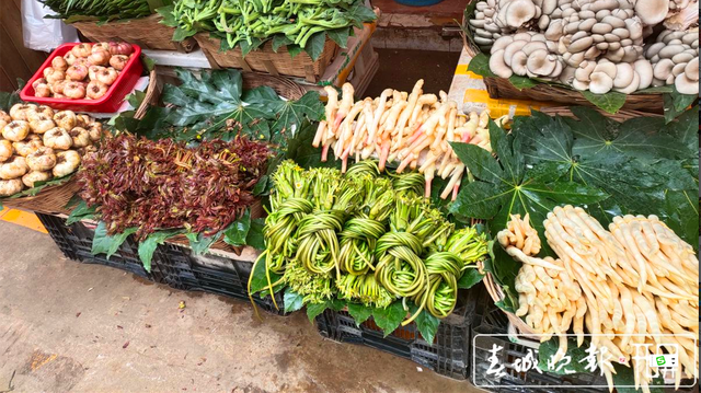 昆明发布预警！群体聚餐禁止加工烹饪食用野菜