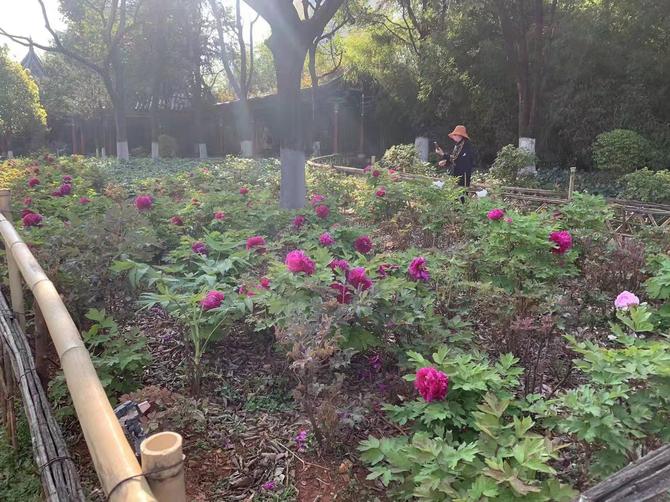 微信图片_20220307102034