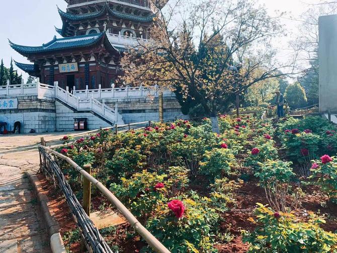 微信图片_20220307102029