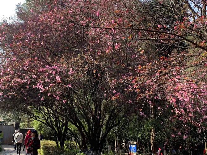 微信图片_20220307102039