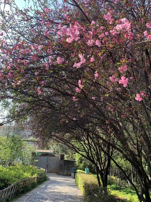 微信图片_20220307102023