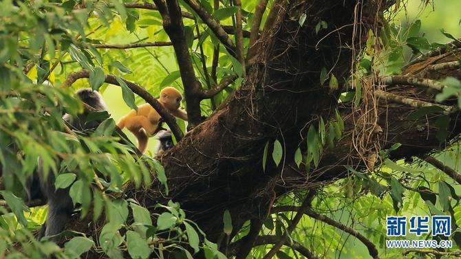 1310501783_16465286158031n 1310501783_16465286158031n