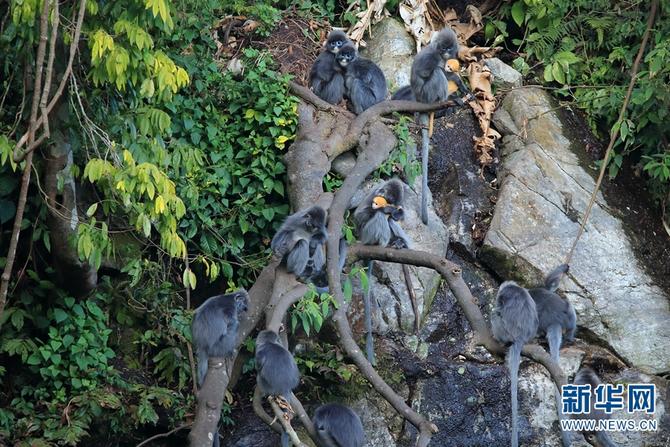 1310501783_16465286158791n 1310501783_16465286158791n