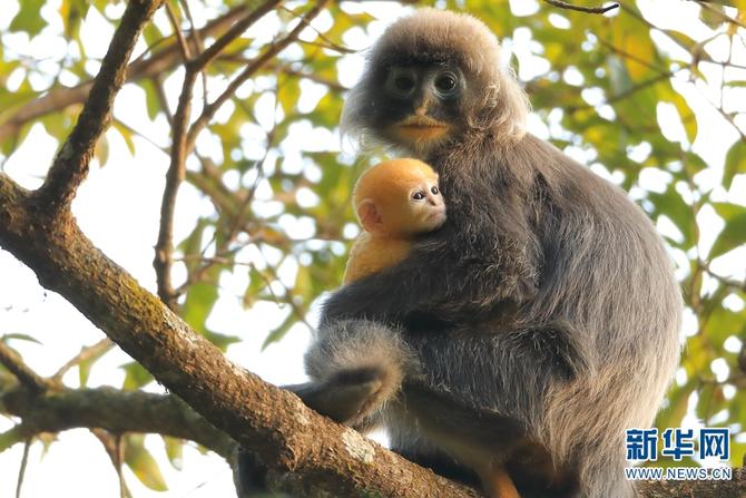 1310501783_16465286159801n 1310501783_16465286159801n