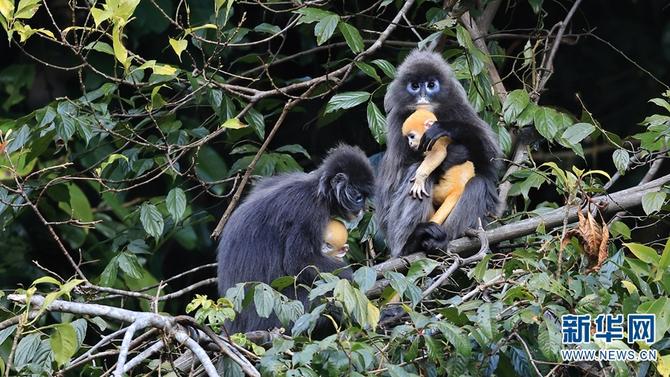 1310501783_16465286160601n 1310501783_16465286160601n