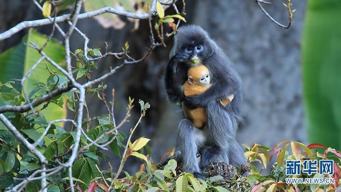 1310501783_16465286161681n (1) 1310501783_16465286161681n (1)