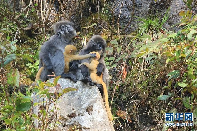 1310501783_16465286162351n 1310501783_16465286162351n