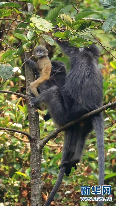 1310501783_16465286163501n 1310501783_16465286163501n