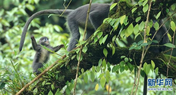 1310501783_16465286166861n 1310501783_16465286166861n