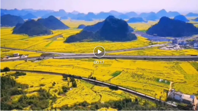 微信图片_20220313161537