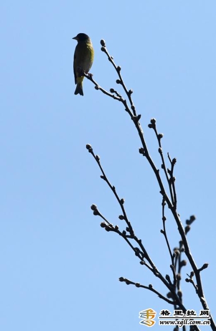 6bd634ad-2b7e-4697-a3f8-266a6de5e5a5_batchwm