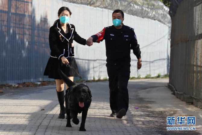 1310517870_16474841766761n