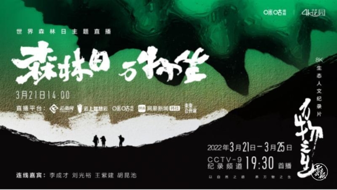 code_ynrb1688d3e9-7712-4c57-983e-578255d37237