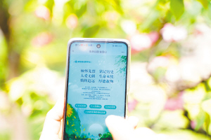 金宝山艺术园林推出网上公祭平台。