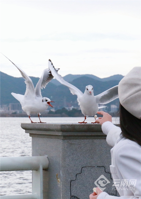 IMG_7198_副本_副本.jpg IMG_7198_副本_副本.jpg