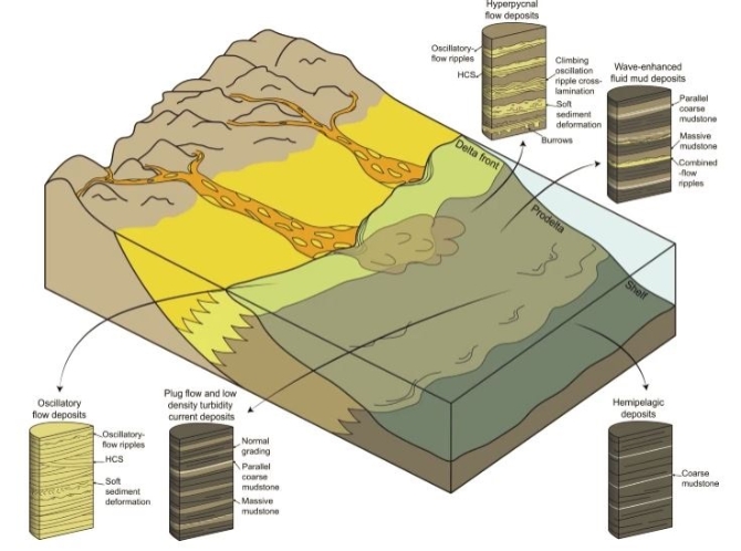 研究揭示：澄江生物群生活在三角洲 云南大学官网
