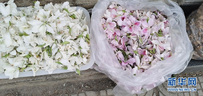 1310527846_16481137316061n