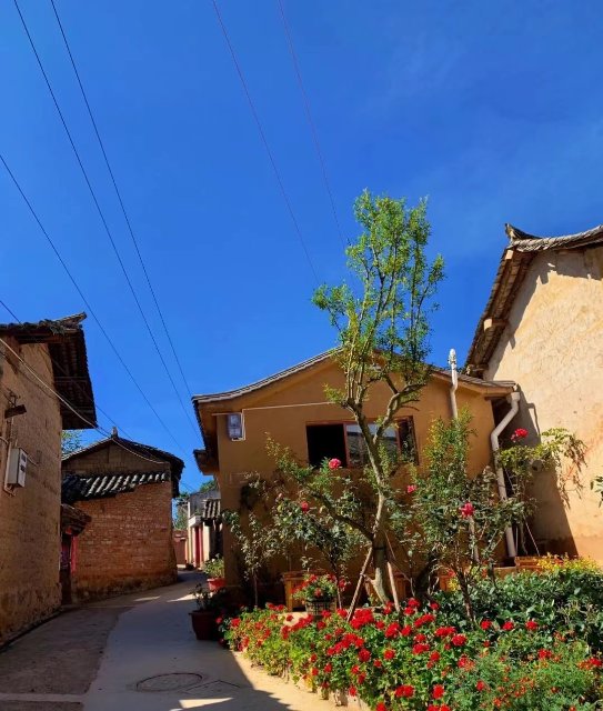 【清明踏春】昆明安宁惬意一日游(安宁市委宣传部 供图)