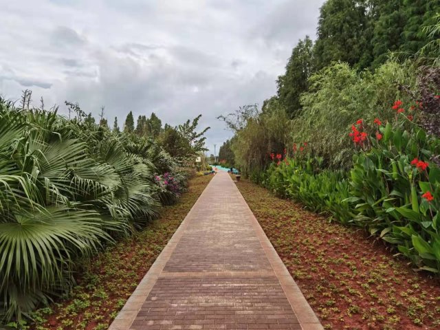 【清明踏春】呈贡江尾村(江尾社区 呈贡区融媒体中心 供图)