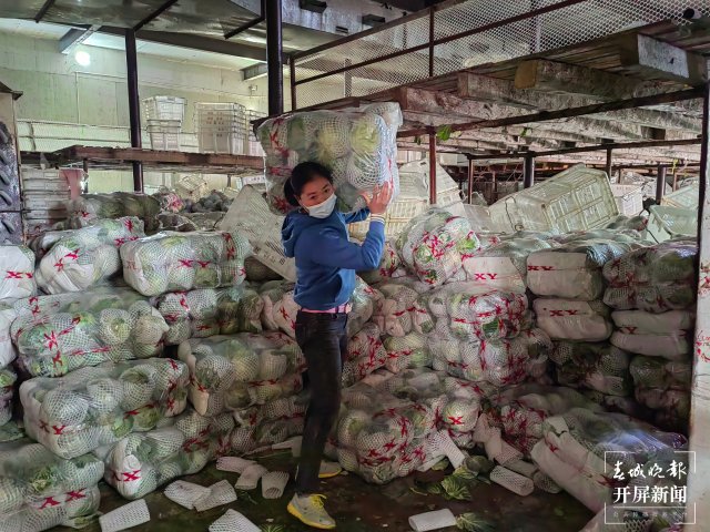 云南通海爱心企业采购80吨蔬菜驰援上海（开屏新闻记者 李春丽 通讯员 胡 婷 吴文汝 摄）