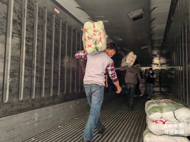 云南通海爱心企业采购80吨蔬菜驰援上海（开屏新闻记者 李春丽 通讯员 胡 婷 吴文汝 摄）