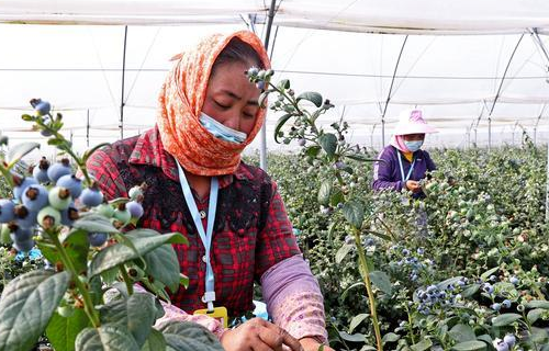 00304609730_930c57ad 00304609730_930c57ad