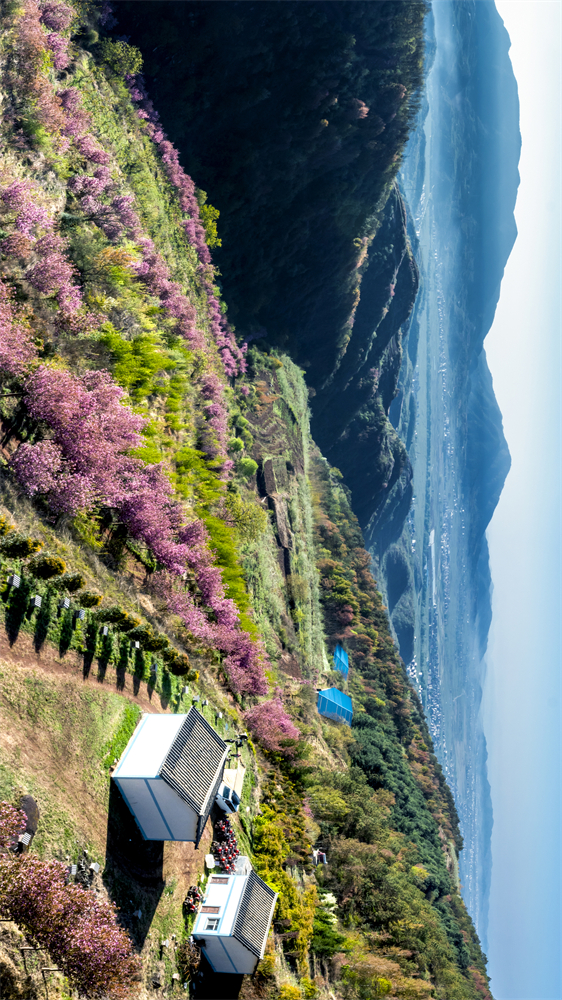 code_ynrb3b95d917-f958-48cc-8170-b3167ef6355a