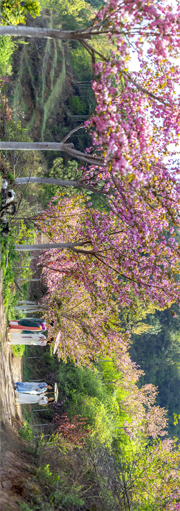 code_ynrb4b0f7979-610c-4fd5-87e7-c334a8576f41