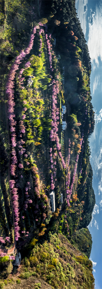 code_ynrba74dc856-3240-4b7a-9eb9-f52bdac30584