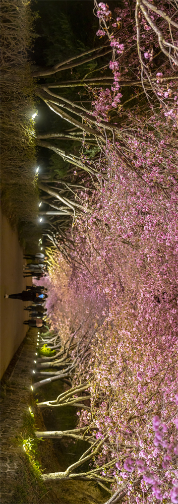 code_ynrbab328089-c797-4c07-8f91-ef52bb18d78f