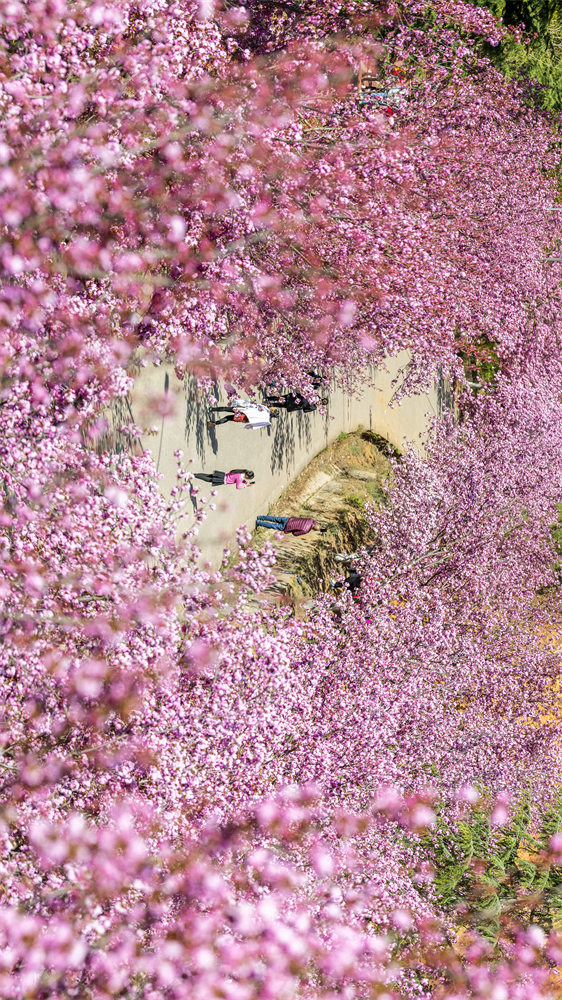 code_ynrbb7d0ecb0-12e4-4791-b0cf-c276bf9a1516