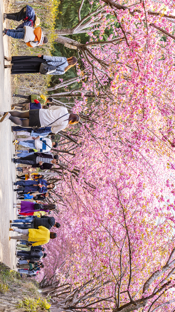 code_ynrbe5404423-b145-46df-9bcc-66d9c102f784