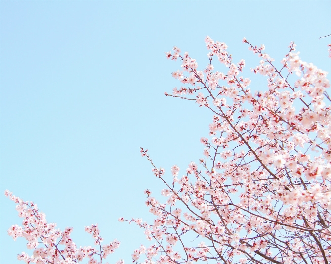 b199209a-0126-4a7c-9ce4-c6566ab34bd0