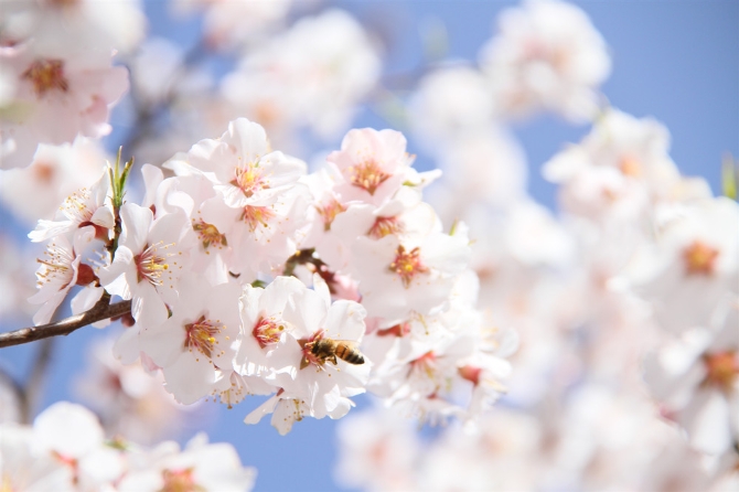 777bc07d-cd41-4565-9710-dd6d1bf6a0b6