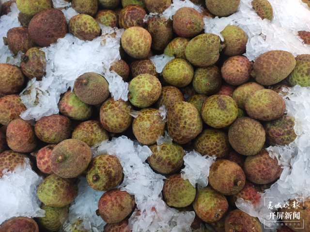 时令水果缤纷上市 价格均有降低 茶饮店频频推新(孙江荭 实习生 赵佳琦 摄影报道)