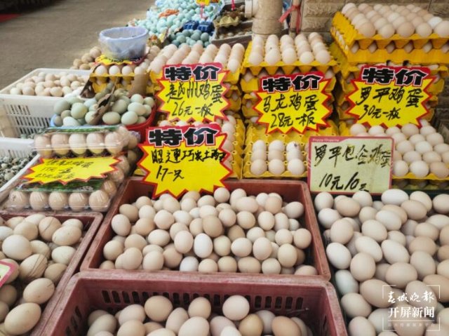 昆明蔬菜（开屏新闻记者 孙江荭 实习生 赵佳琦 摄）