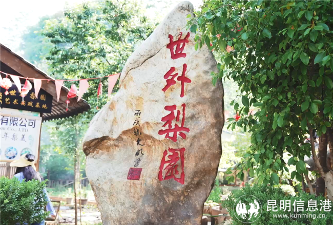 微信图片_20220429222719