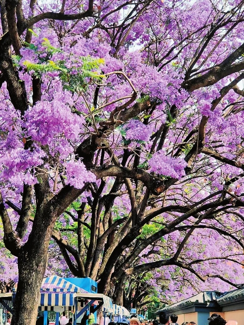 7f45c5b7-a66c-4f7b-8820-da290dfae3d4