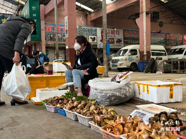 “五一”过后，野生菌渐多，云南木水花野生菌交易中心每天500公斤