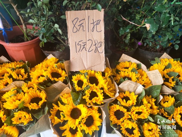 母亲节，昆明康乃馨（开屏新闻记者 孙江荭 摄）