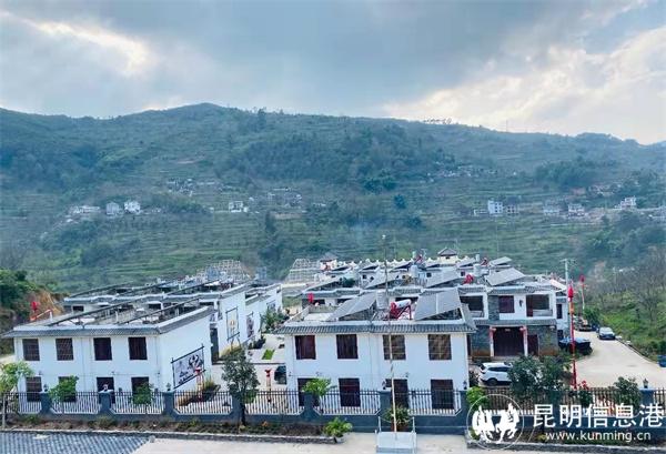 和平新区俯瞰图