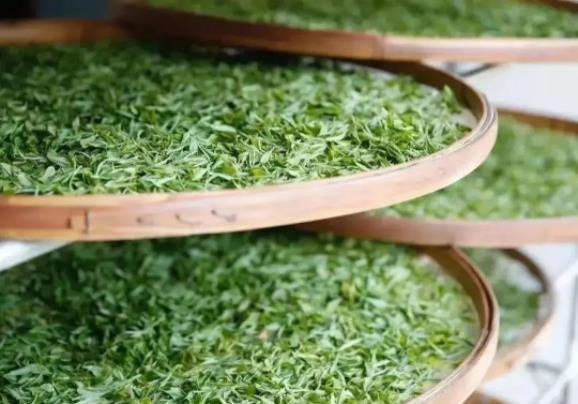 /lanyaWeb/lincangnews/upload/image/20220509/1652059889213947.jpg 360截图20220509093034714.jpg